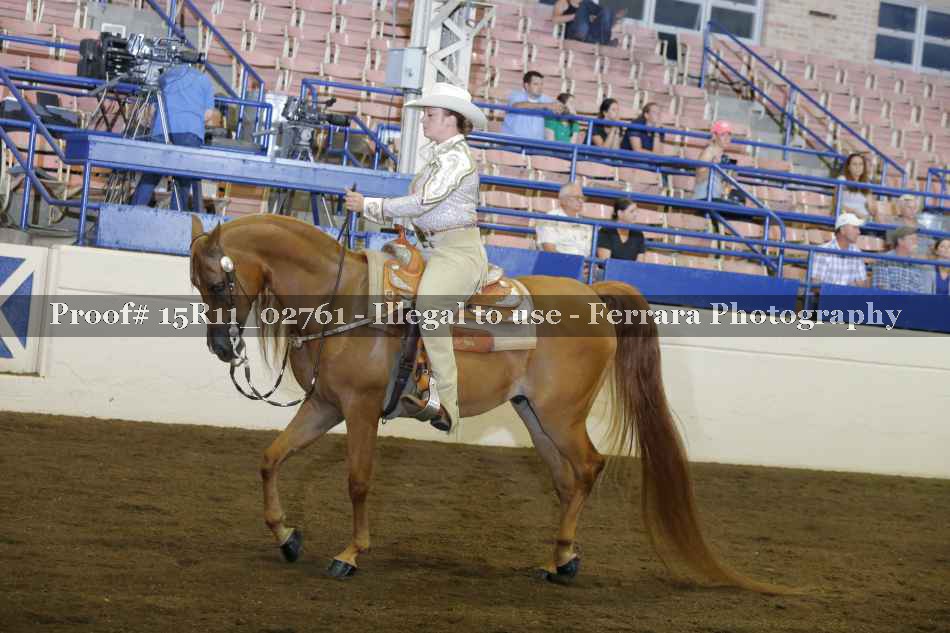 Proof 15R11_02761