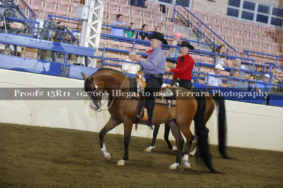 Proof 15R11_02766