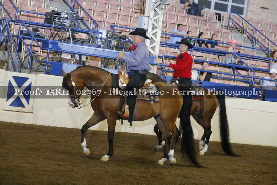 Proof 15R11_02767