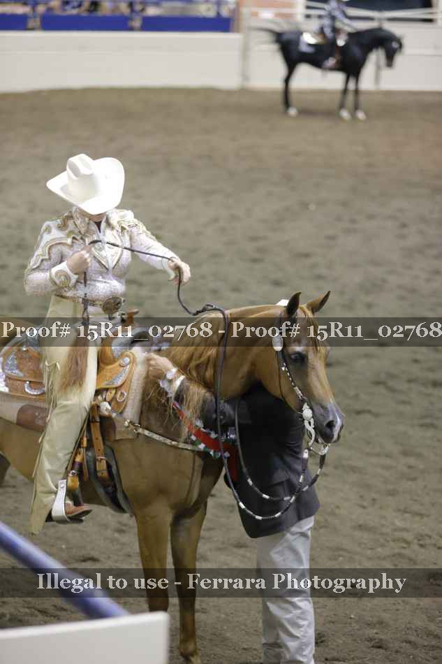 Proof 15R11_02768