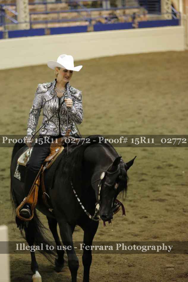 Proof 15R11_02772