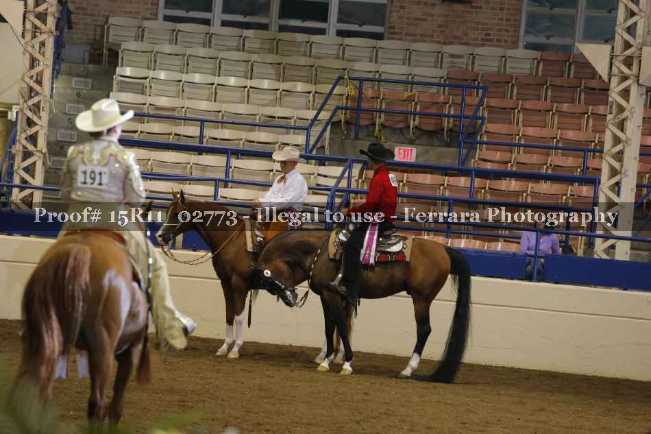 Proof 15R11_02773
