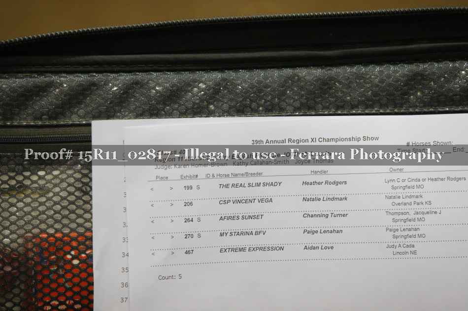 Proof 15R11_02817