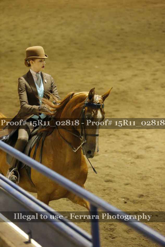 Proof 15R11_02818