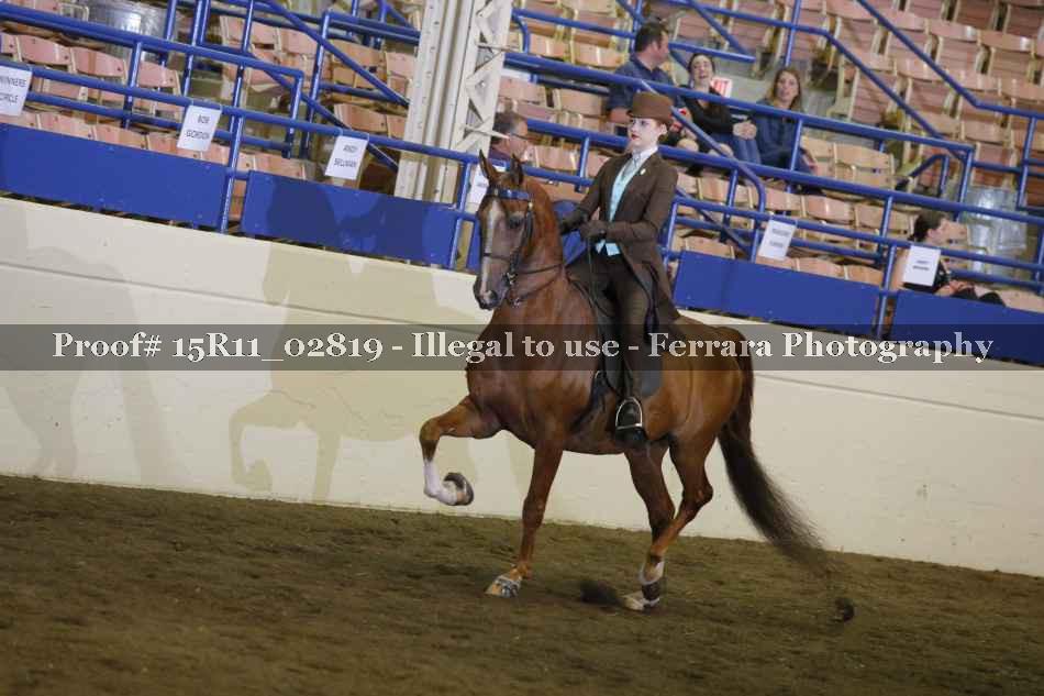 Proof 15R11_02819