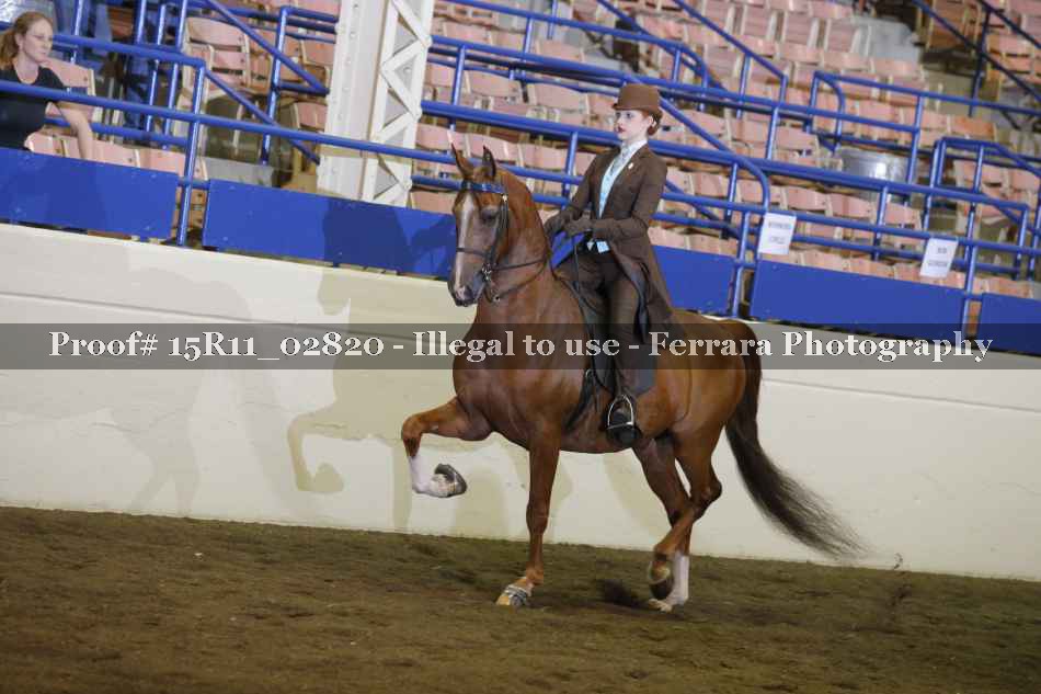 Proof 15R11_02820
