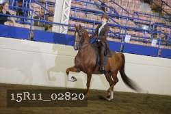15R11_02820 proof