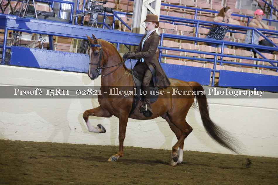 Proof 15R11_02821