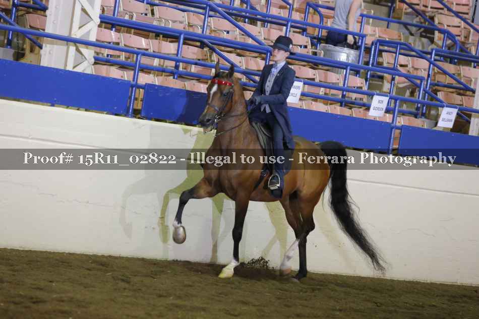Proof 15R11_02822
