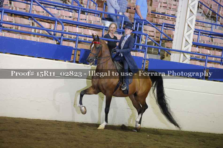 Proof 15R11_02823