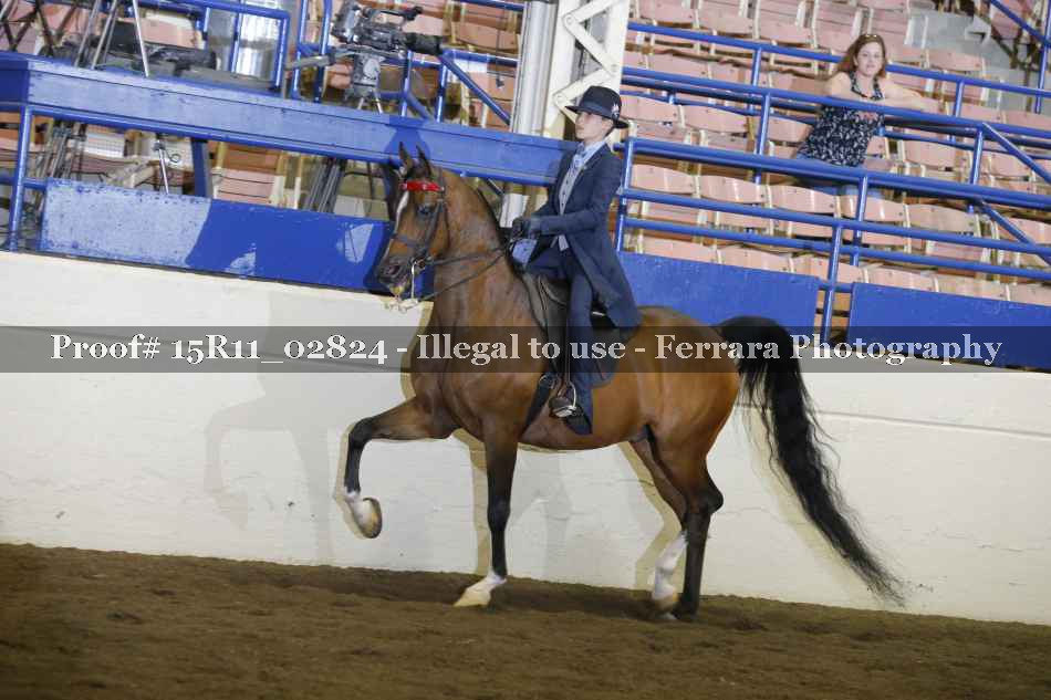 Proof 15R11_02824