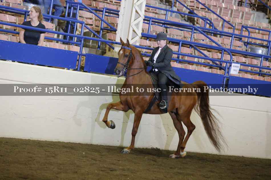 Proof 15R11_02825