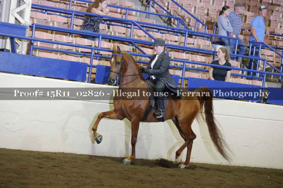 Proof 15R11_02826