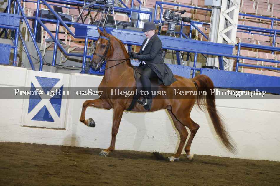 Proof 15R11_02827