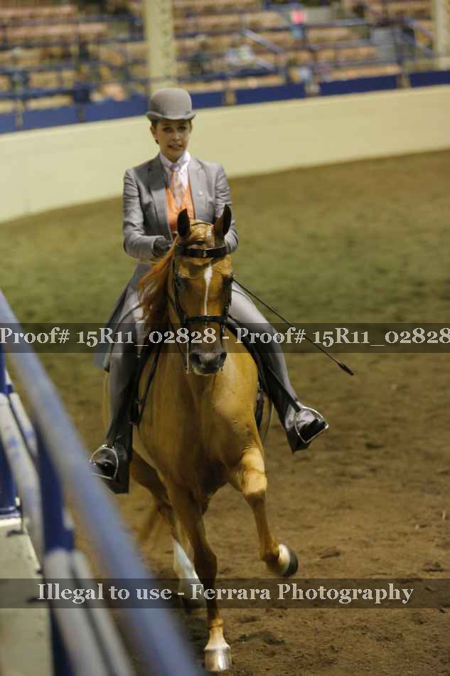 Proof 15R11_02828