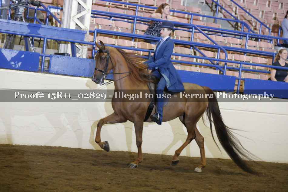 Proof 15R11_02829