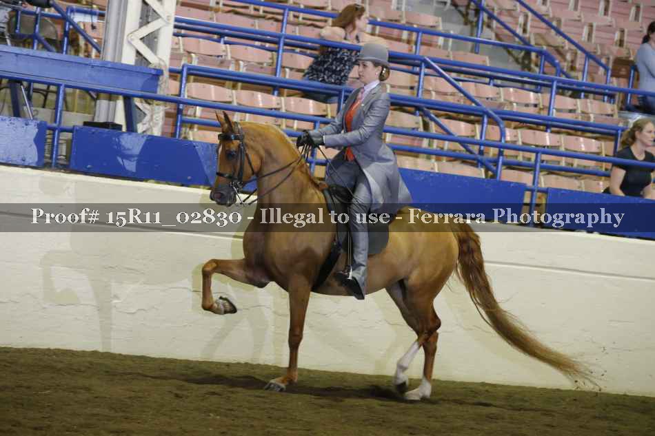 Proof 15R11_02830