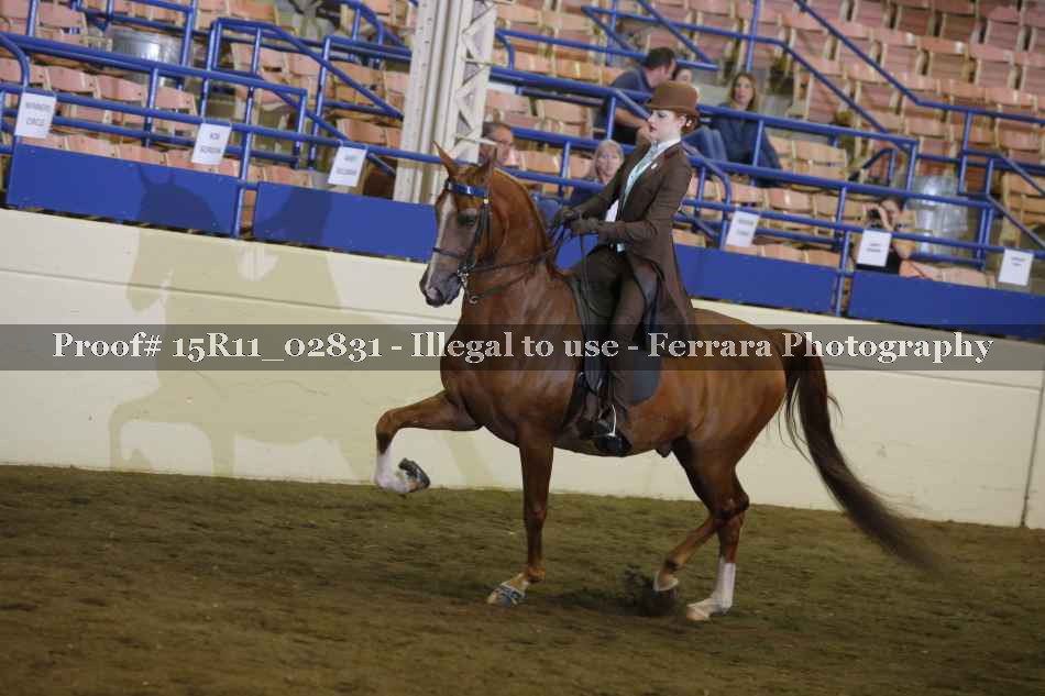 Proof 15R11_02831