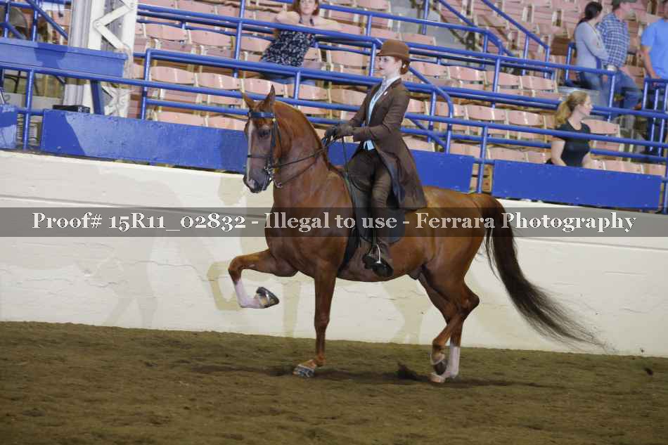 Proof 15R11_02832