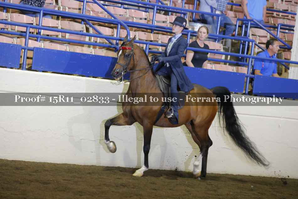 Proof 15R11_02833