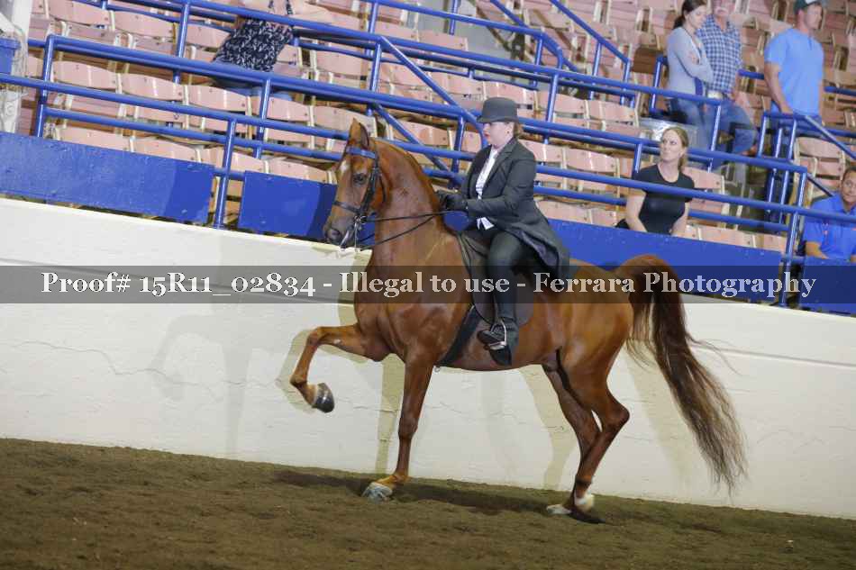 Proof 15R11_02834