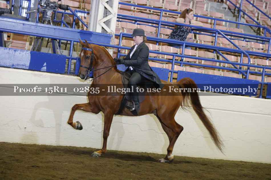 Proof 15R11_02835