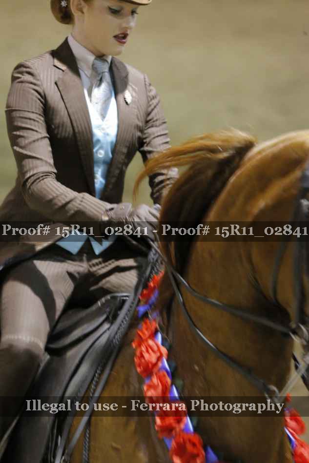 Proof 15R11_02841