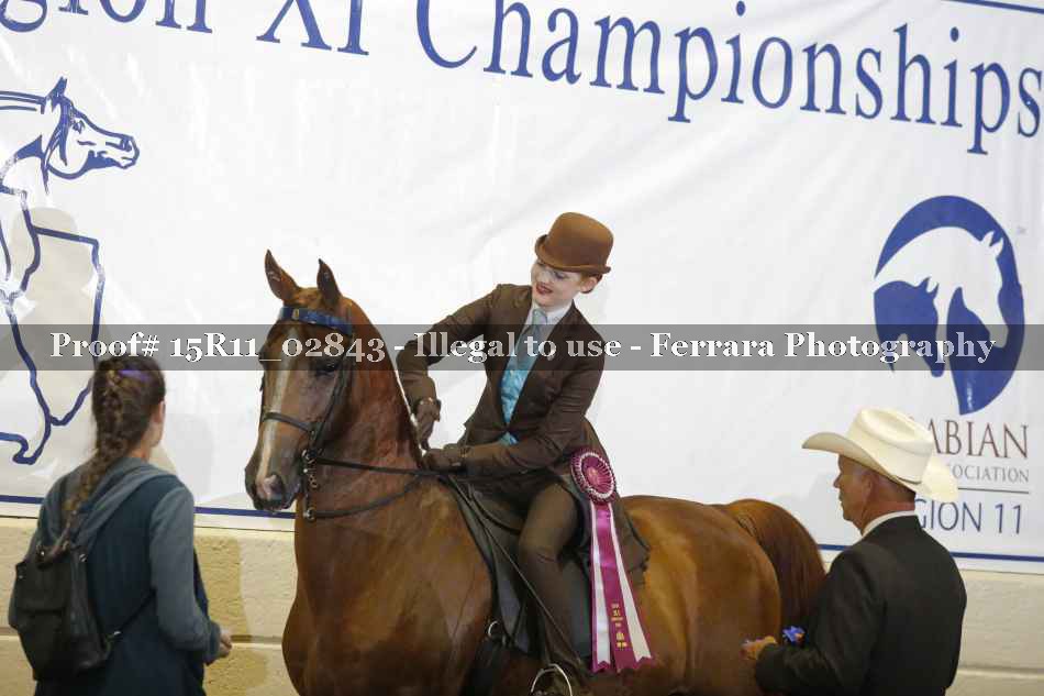 Proof 15R11_02843