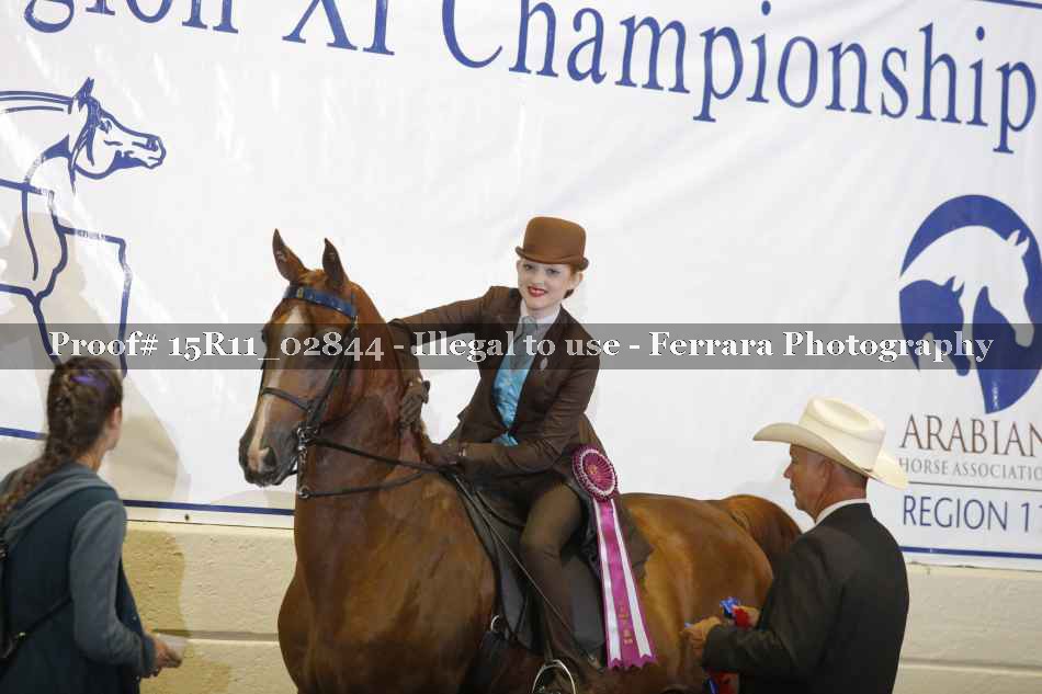 Proof 15R11_02844
