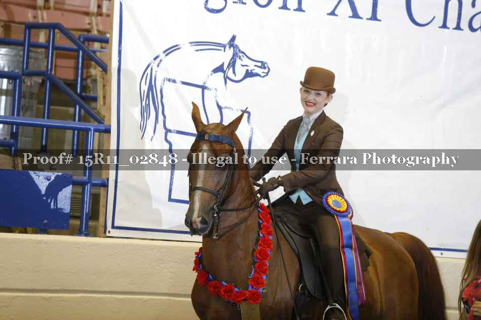 Proof 15R11_02848