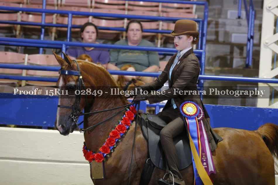 Proof 15R11_02849