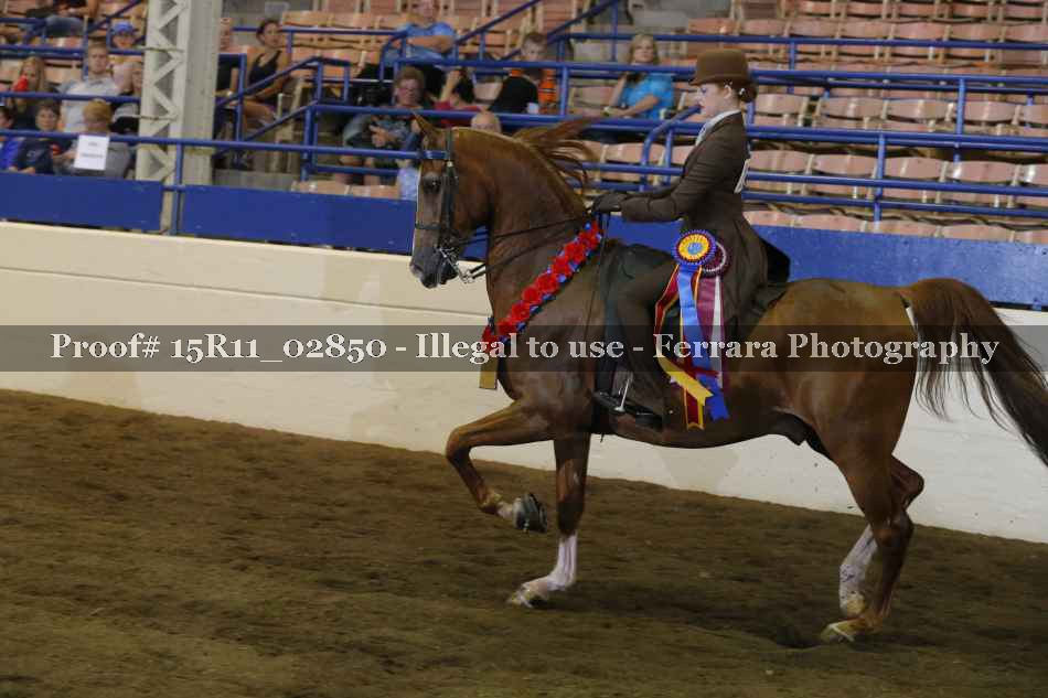 Proof 15R11_02850