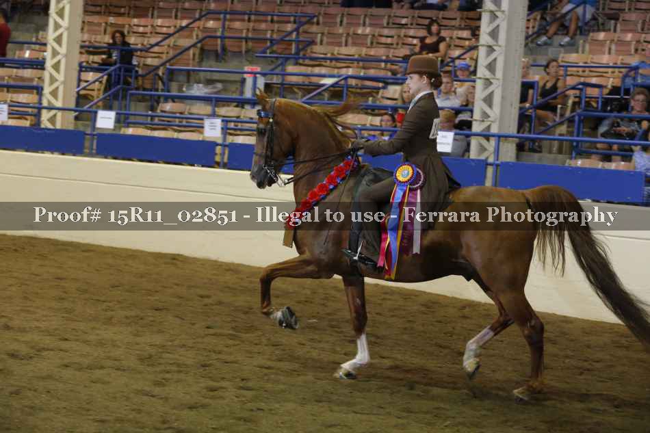 Proof 15R11_02851