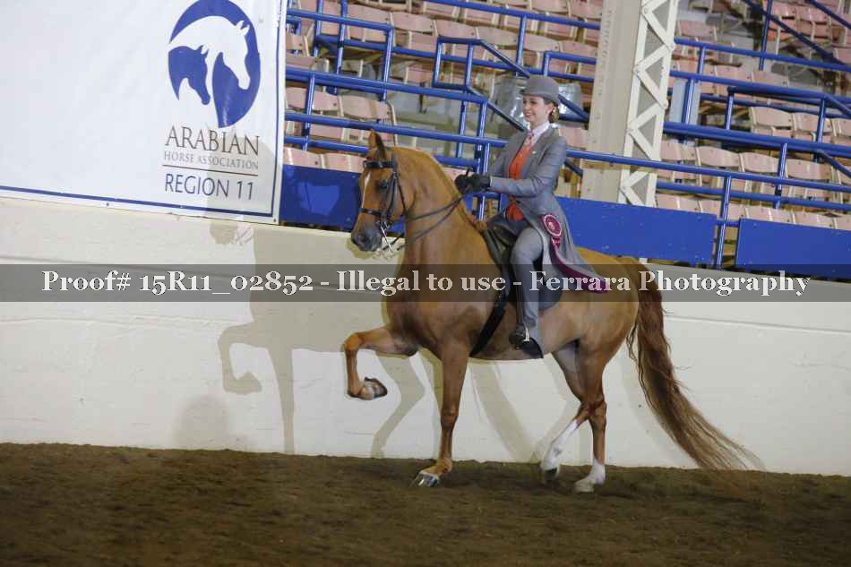 Proof 15R11_02852