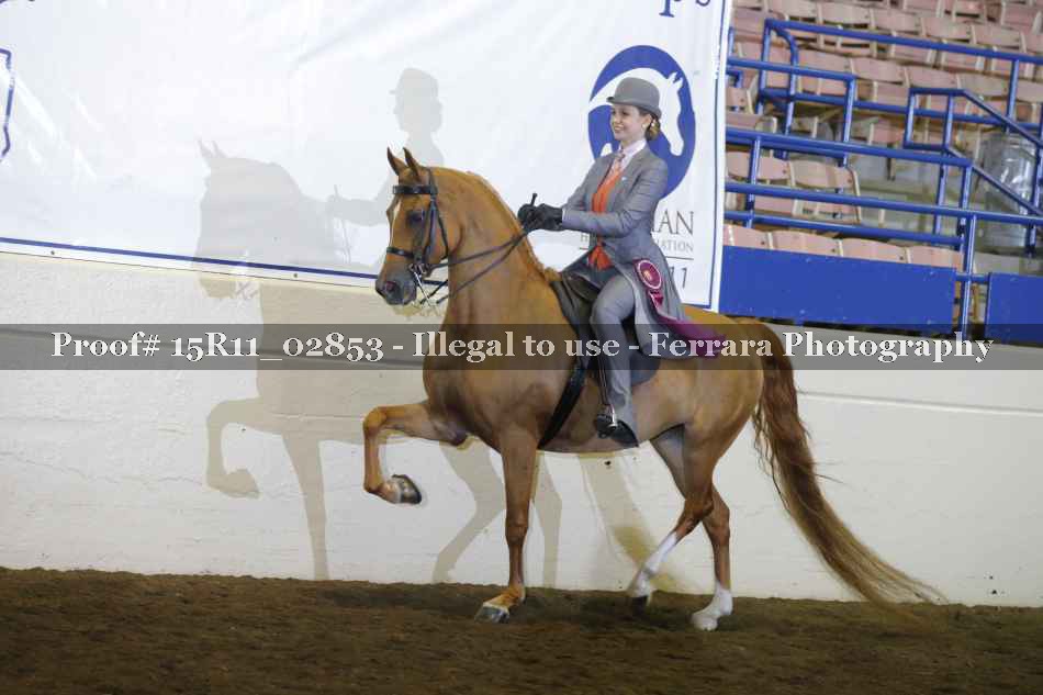 Proof 15R11_02853