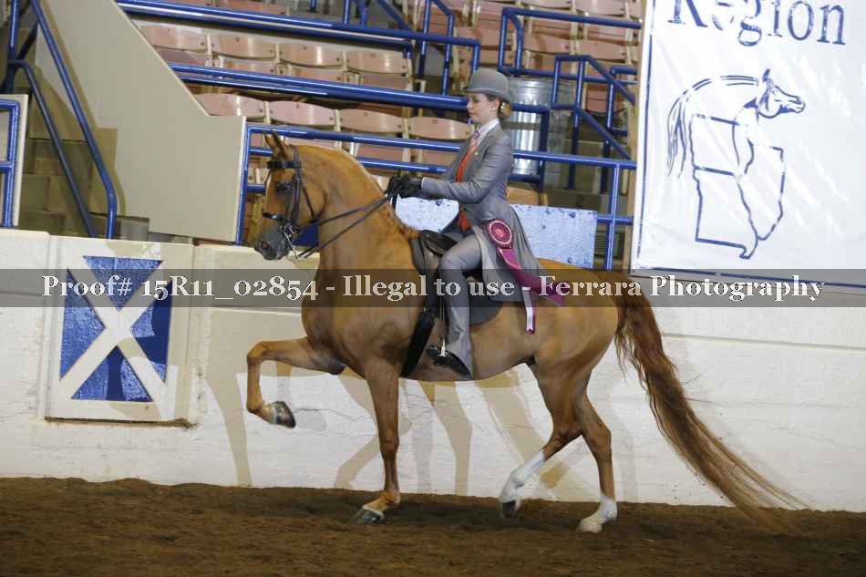 Proof 15R11_02854