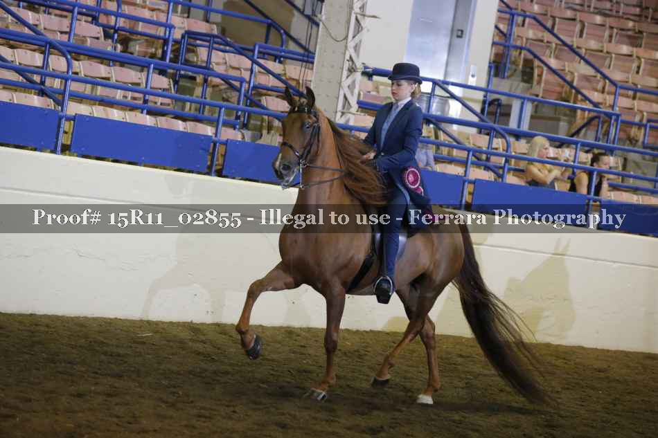 Proof 15R11_02855