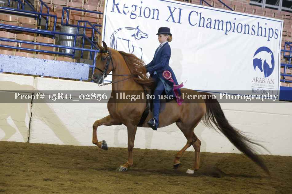 Proof 15R11_02856