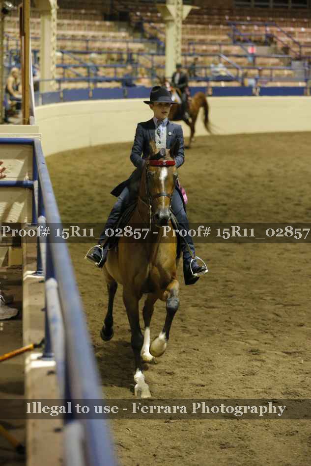 Proof 15R11_02857