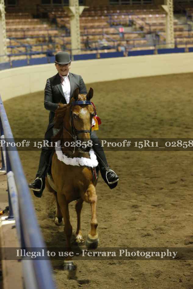 Proof 15R11_02858