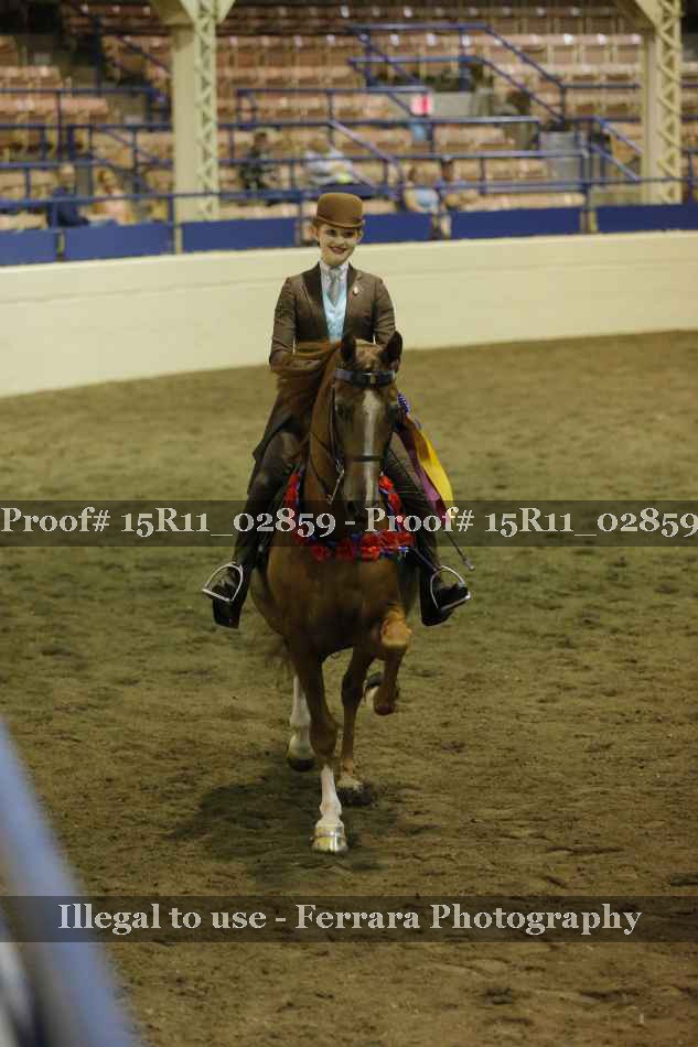 Proof 15R11_02859