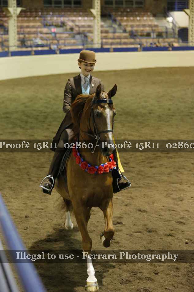 Proof 15R11_02860