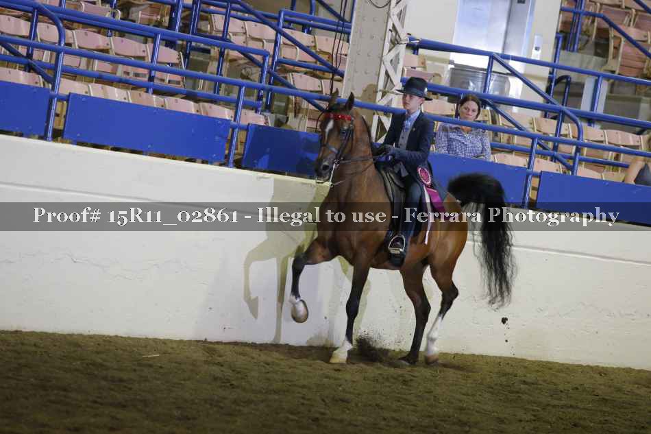 Proof 15R11_02861