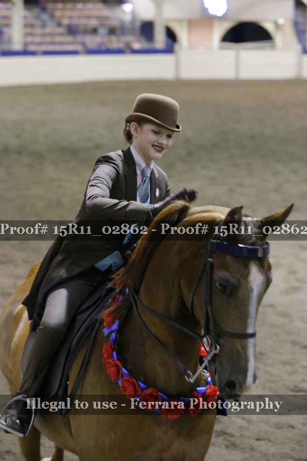 Proof 15R11_02862