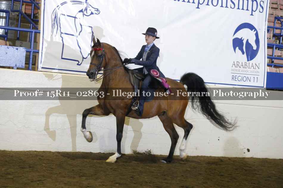 Proof 15R11_02863