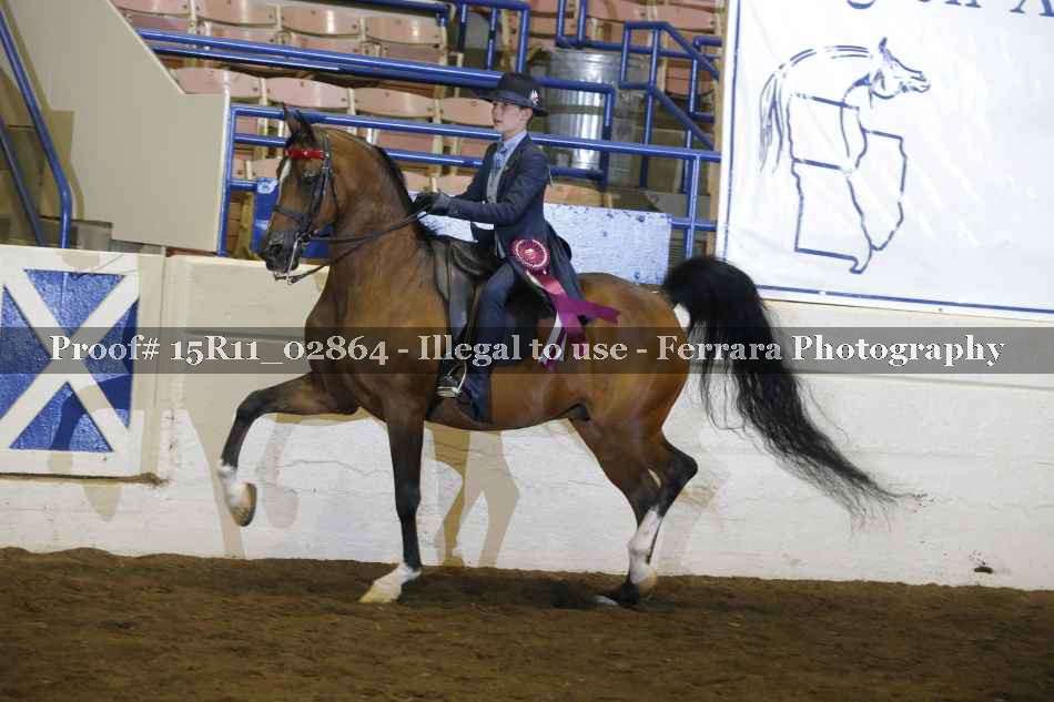 Proof 15R11_02864