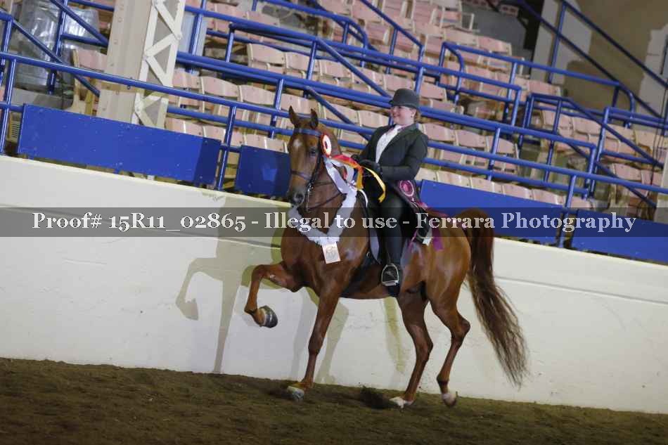 Proof 15R11_02865