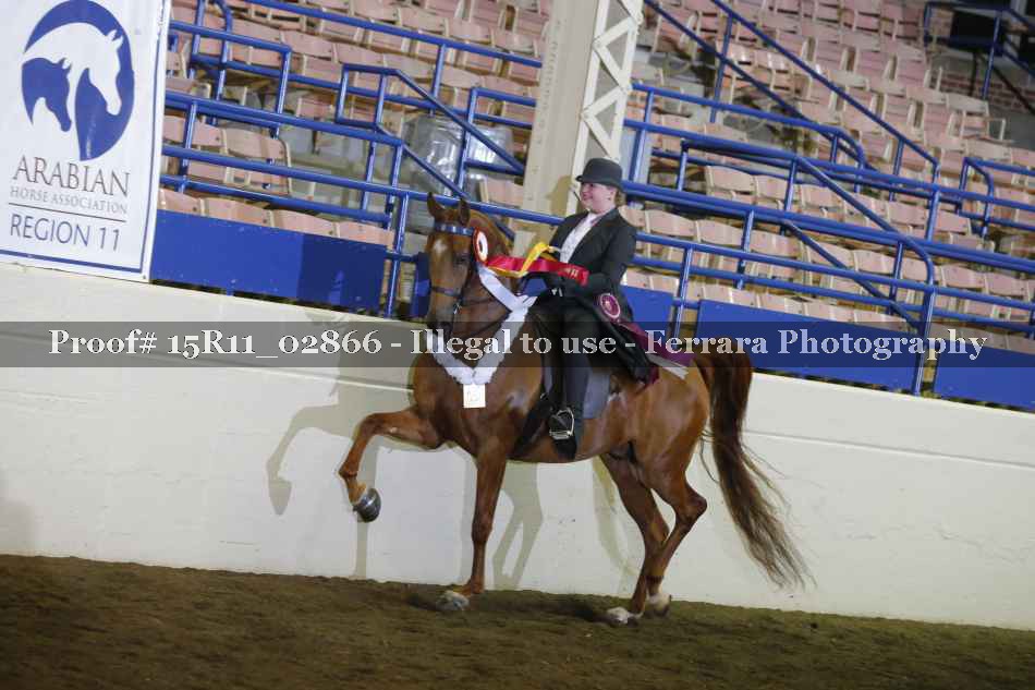 Proof 15R11_02866