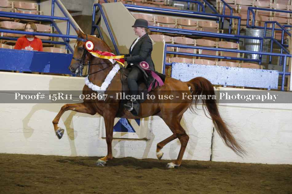 Proof 15R11_02867
