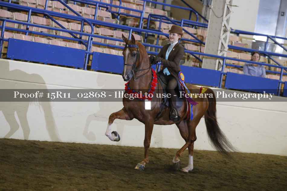 Proof 15R11_02868